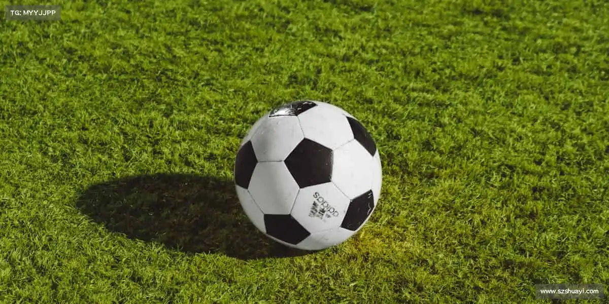 zoty中欧🥋汗水铸就辉煌,坚持成就梦想 —— 这里,是你的运动充电站!